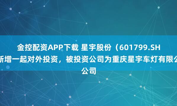 金控配资APP下载 星宇股份（601799.SH）新增一起对外投资，被投资公司为重庆星宇车灯有限公司